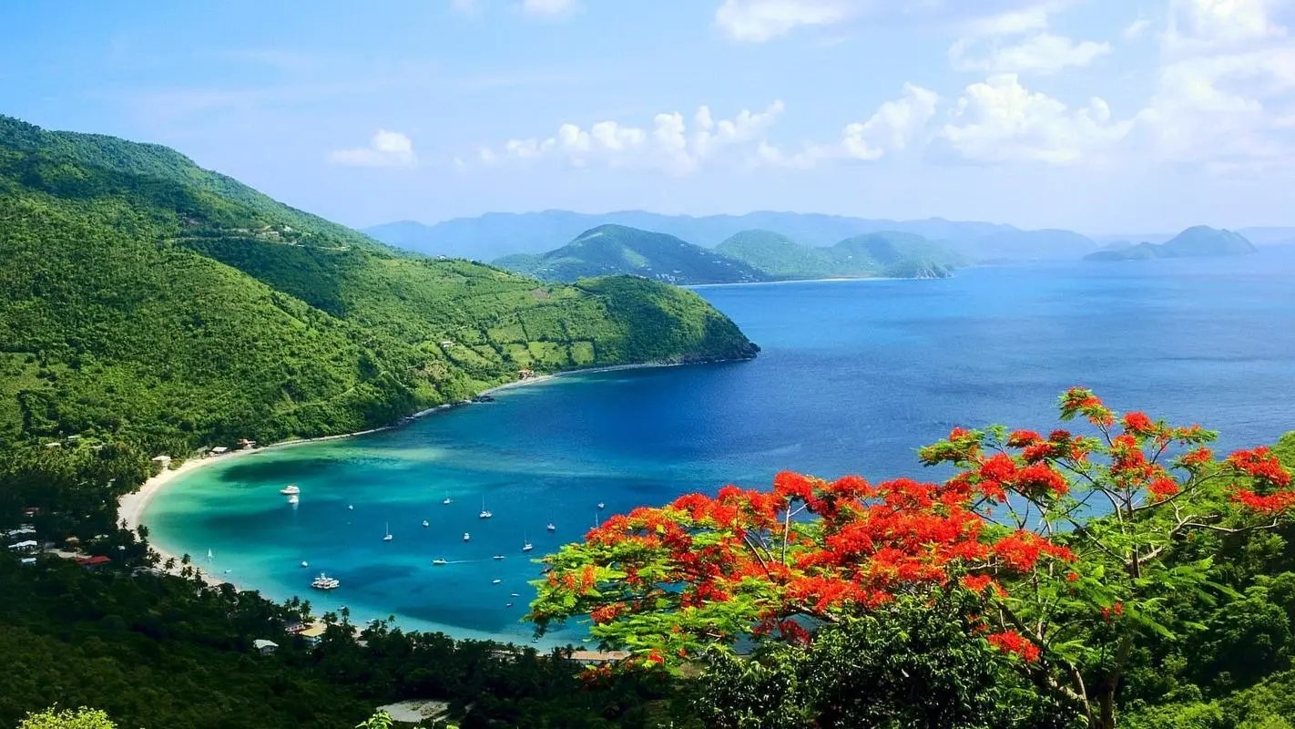 高性能全自动